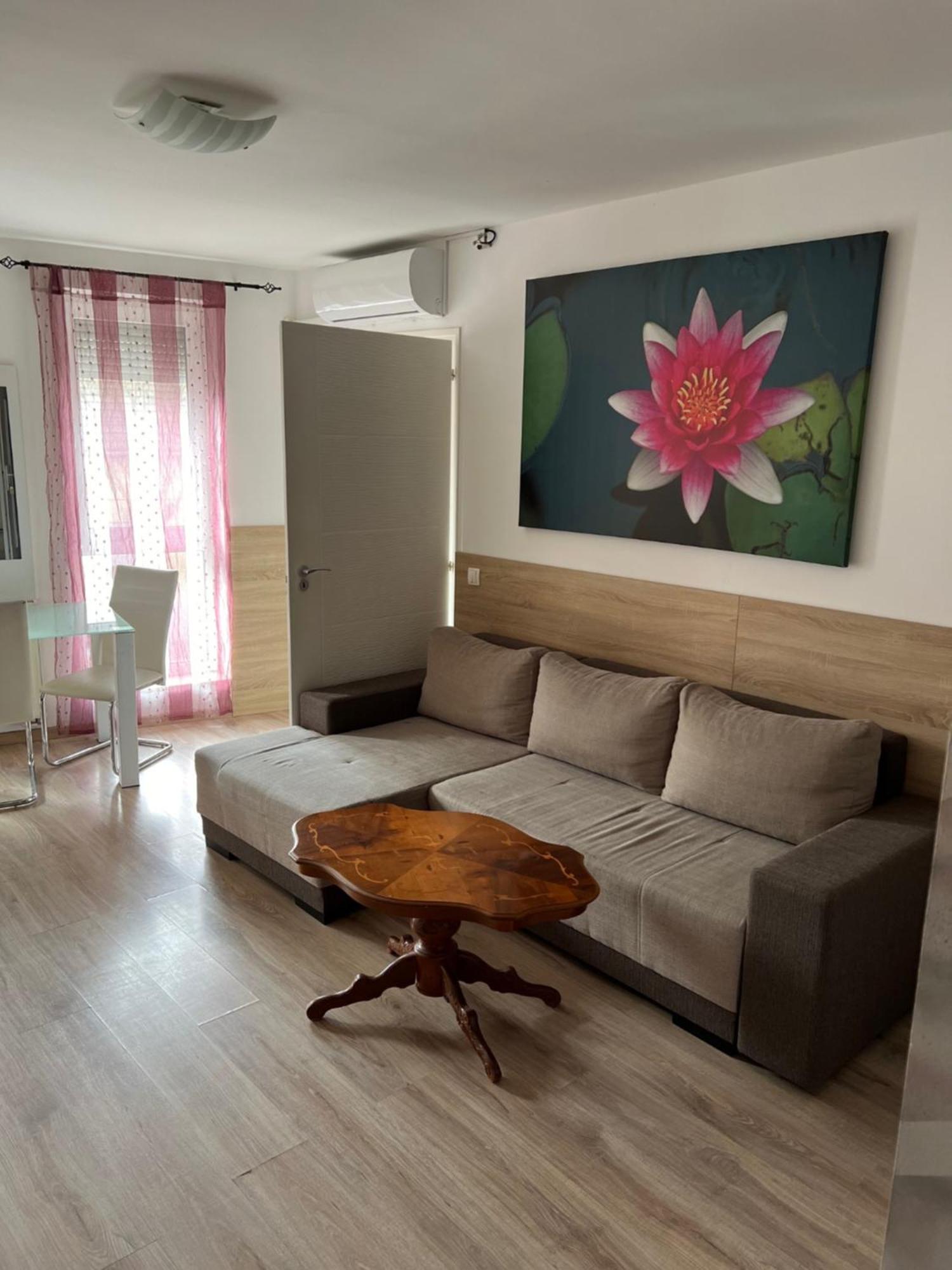 Sweet Dream Guesthouse Segedín Exteriér fotografie